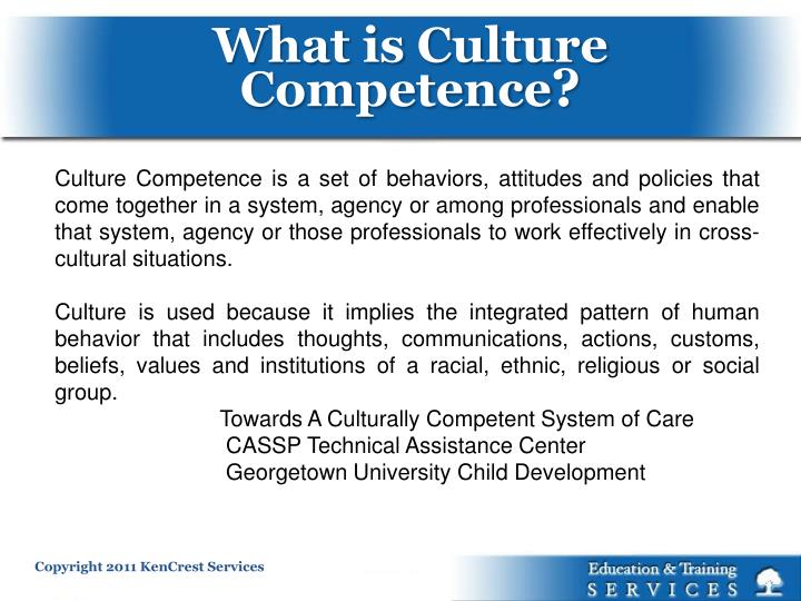 what is cultural diversity what is cultural diversity