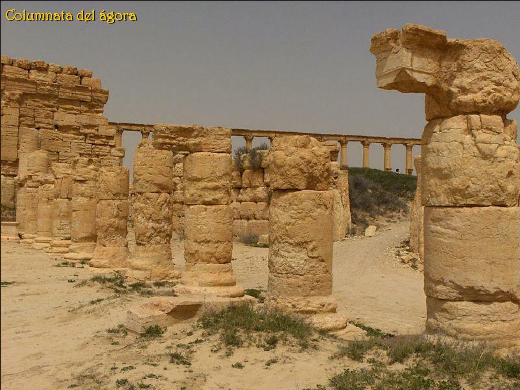 Año de montaje de la columna aureliana Año de montaje de la columna aureliana