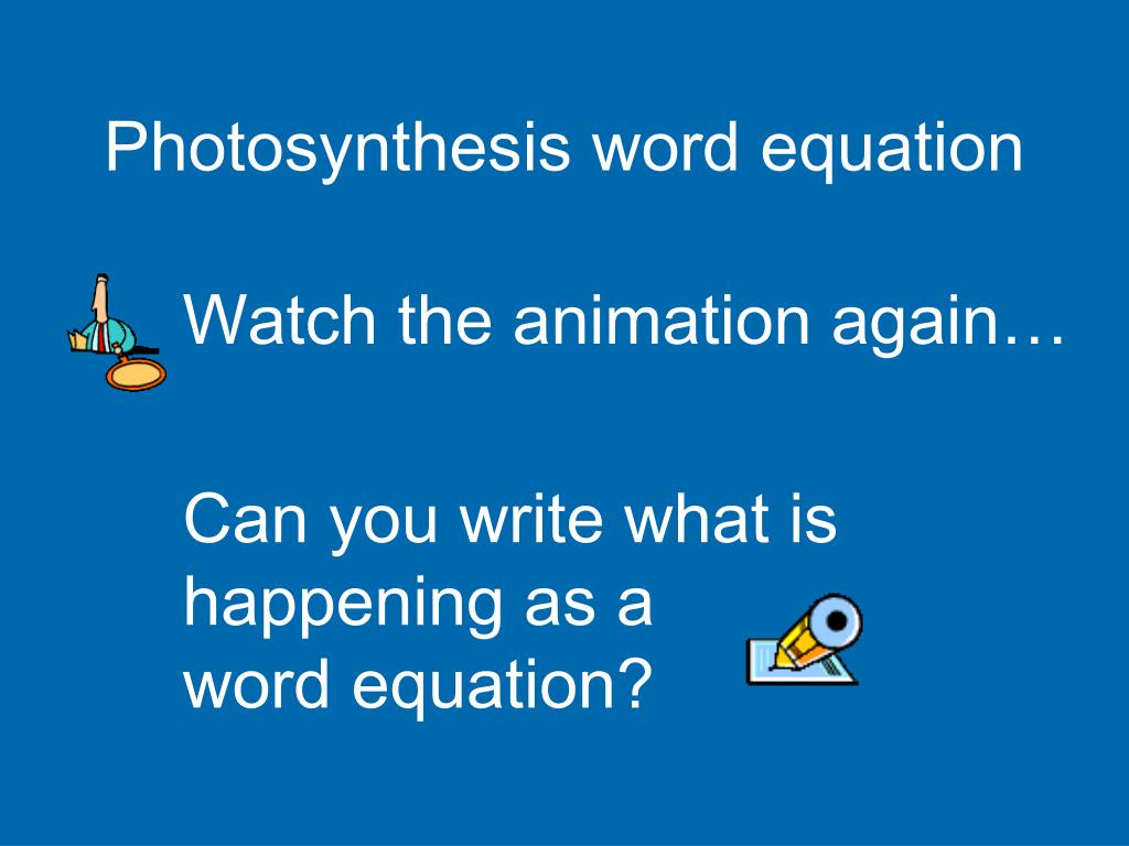 photosynthesis equation in word form