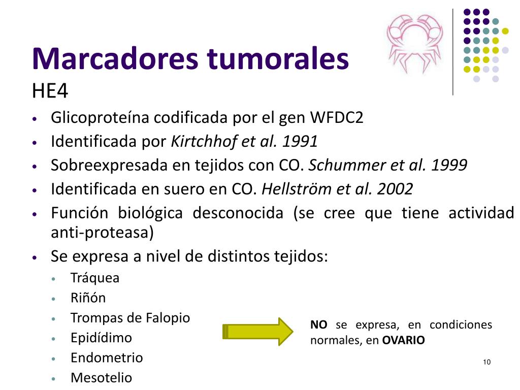 PPT - Proteína epididimal humana 4 (HE4) nuevo marcador tumoral de ovario  PowerPoint Presentation - ID:5016399