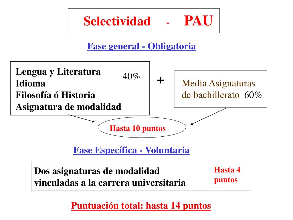 PPT - Selectividad - PAU PowerPoint Presentation, free download - ID:5023005