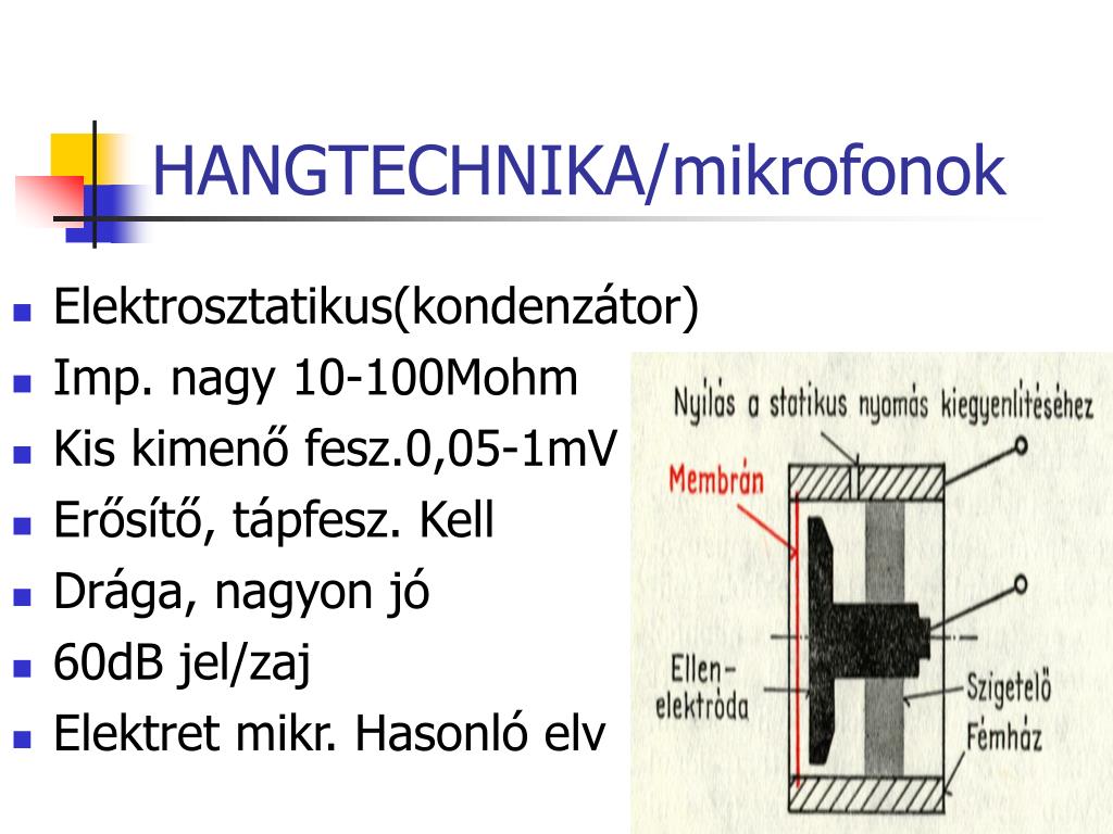 PPT - HANGTECHNIKA/fiziológia PowerPoint Presentation, free download -  ID:5023918