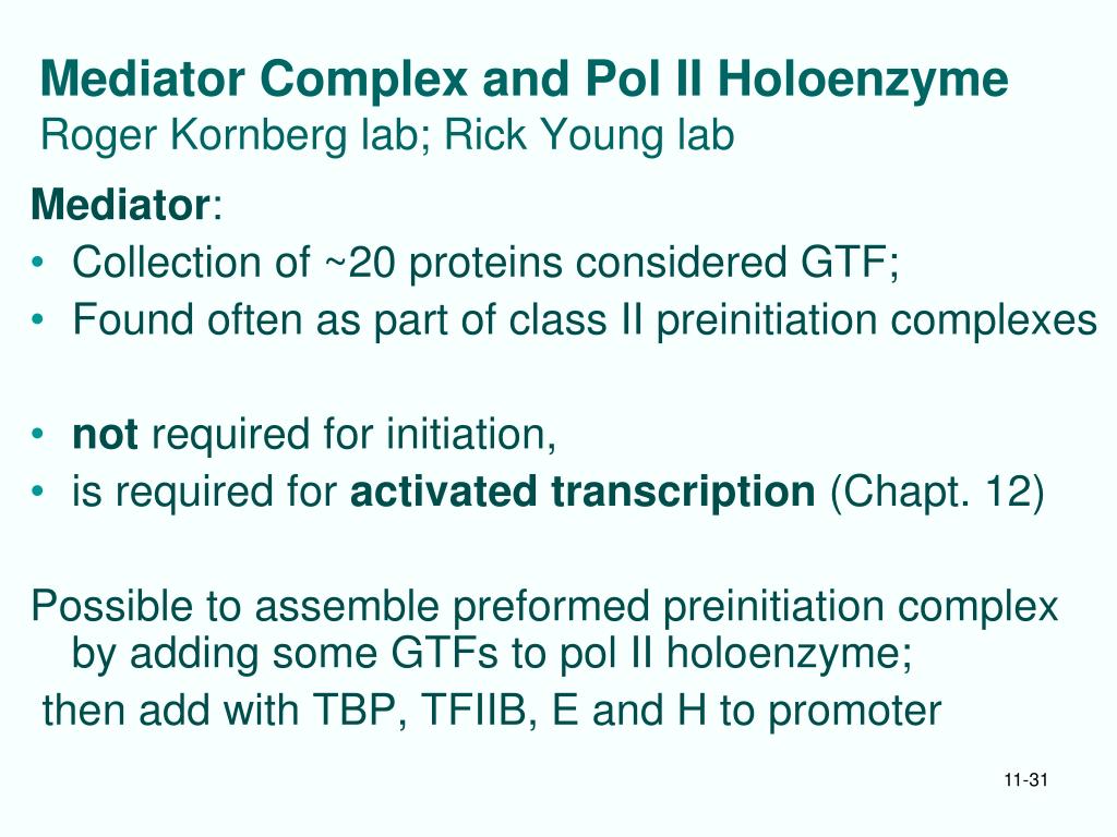 PPT Chapt 11 General Transcription Factors in Eukaryotes PowerPoint