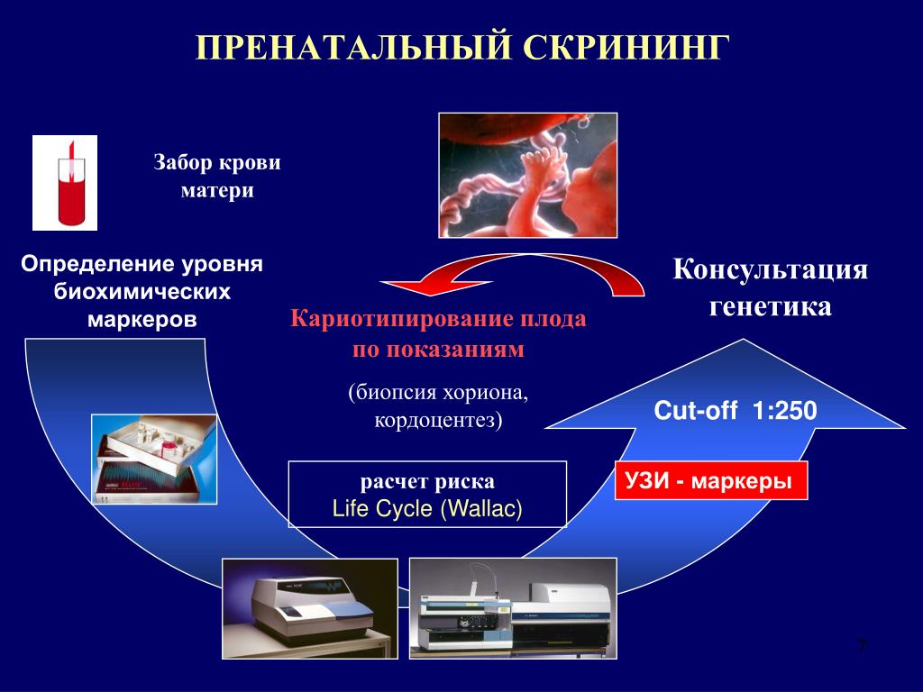 Скрининг развития это. Пренатальный скрининг. Скрининговые методы пренатальной диагностики. Первый пренатальный скрининг. Пренатальный скрининг клинические рекомендации.