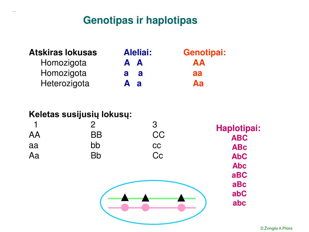 Исключения генотипа XY. Расшифровка генотипа ga.