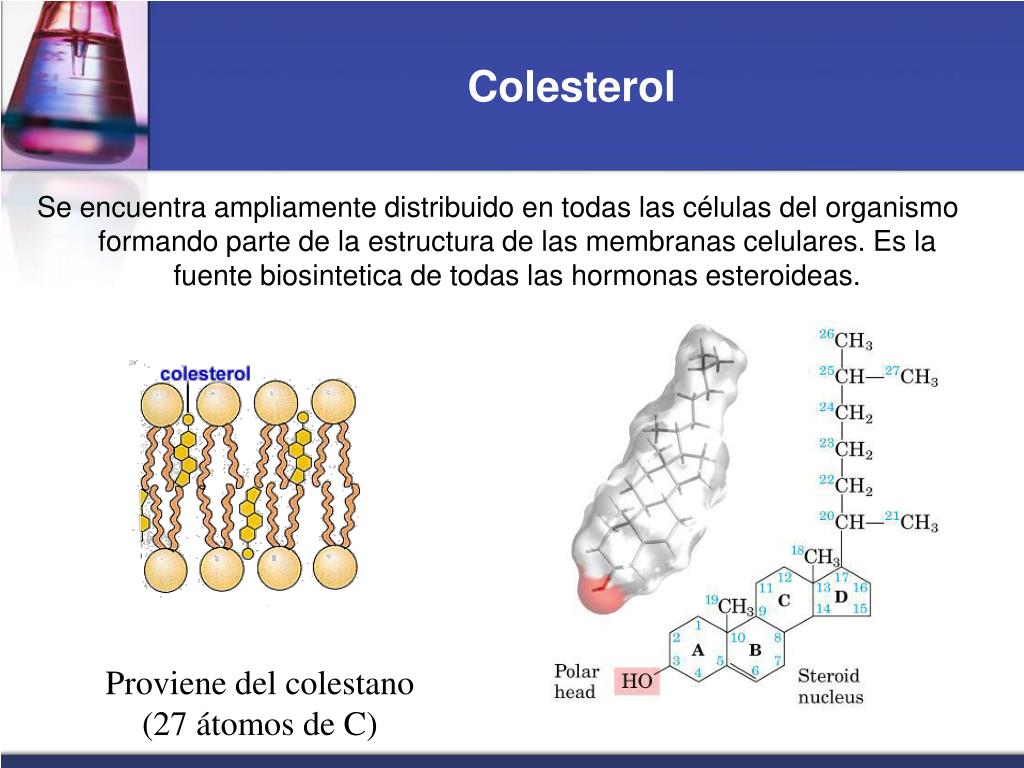 PPT Unidad V Qu mica De L pidos PowerPoint Presentation Free 