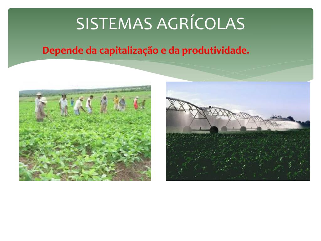 PPT - Espaço Agrário PowerPoint Presentation, Free Download - ID:5025515