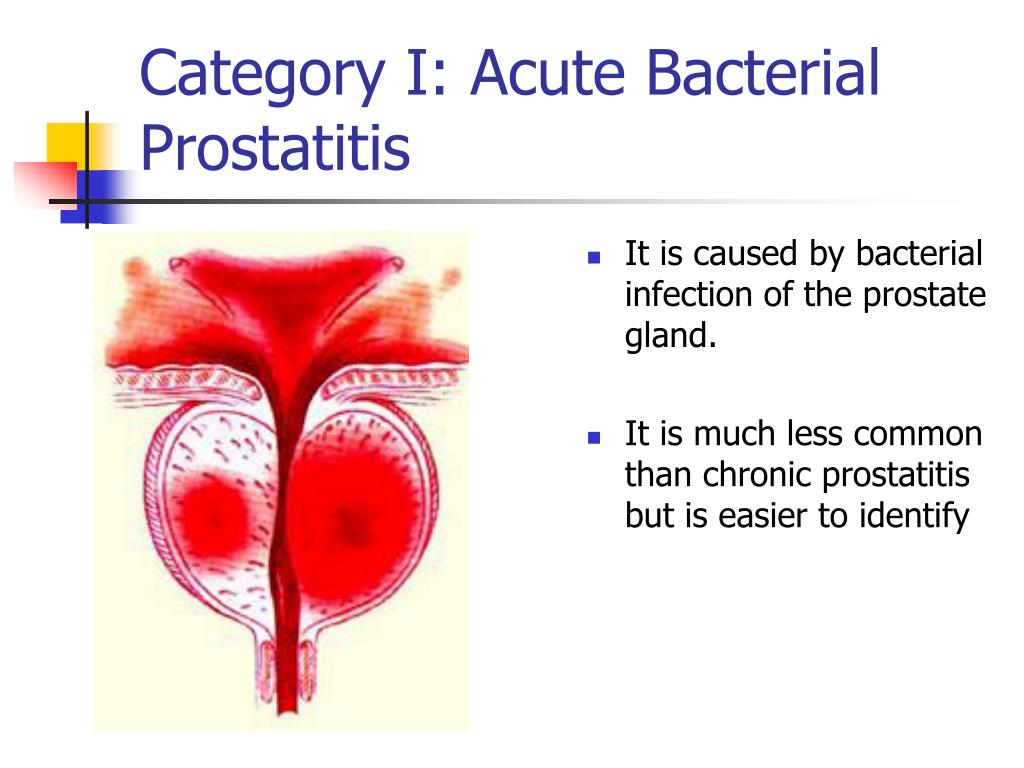 How do you get e coli in the prostate