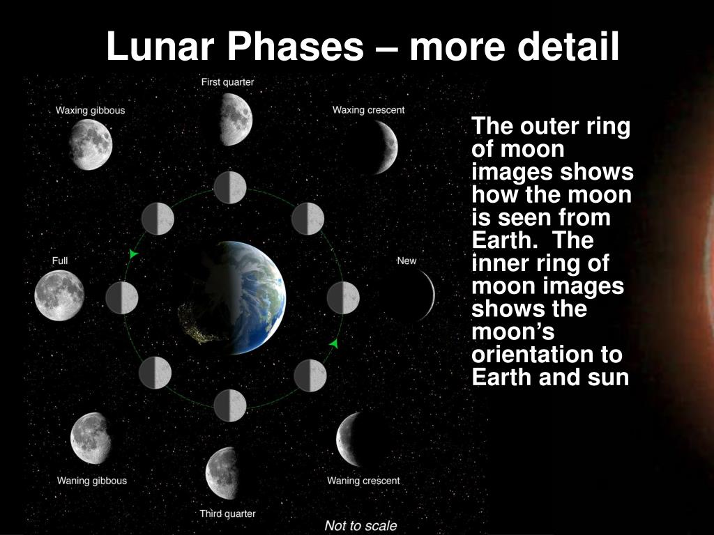 Фаза луны 25 февраля 2024
