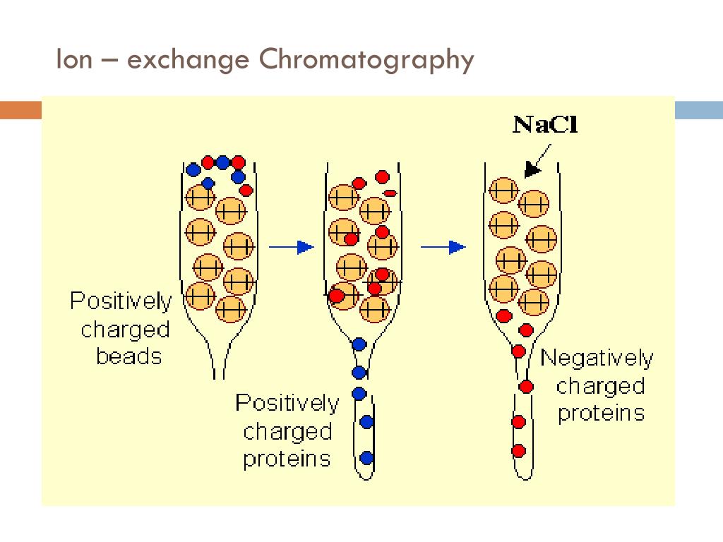 write 2 applications of chromatography