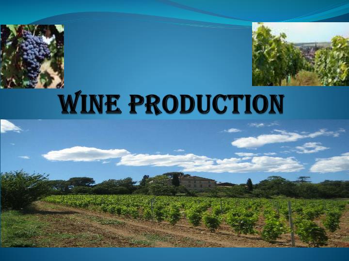 PPT WINE PRODUCTION PowerPoint Presentation ID5033751