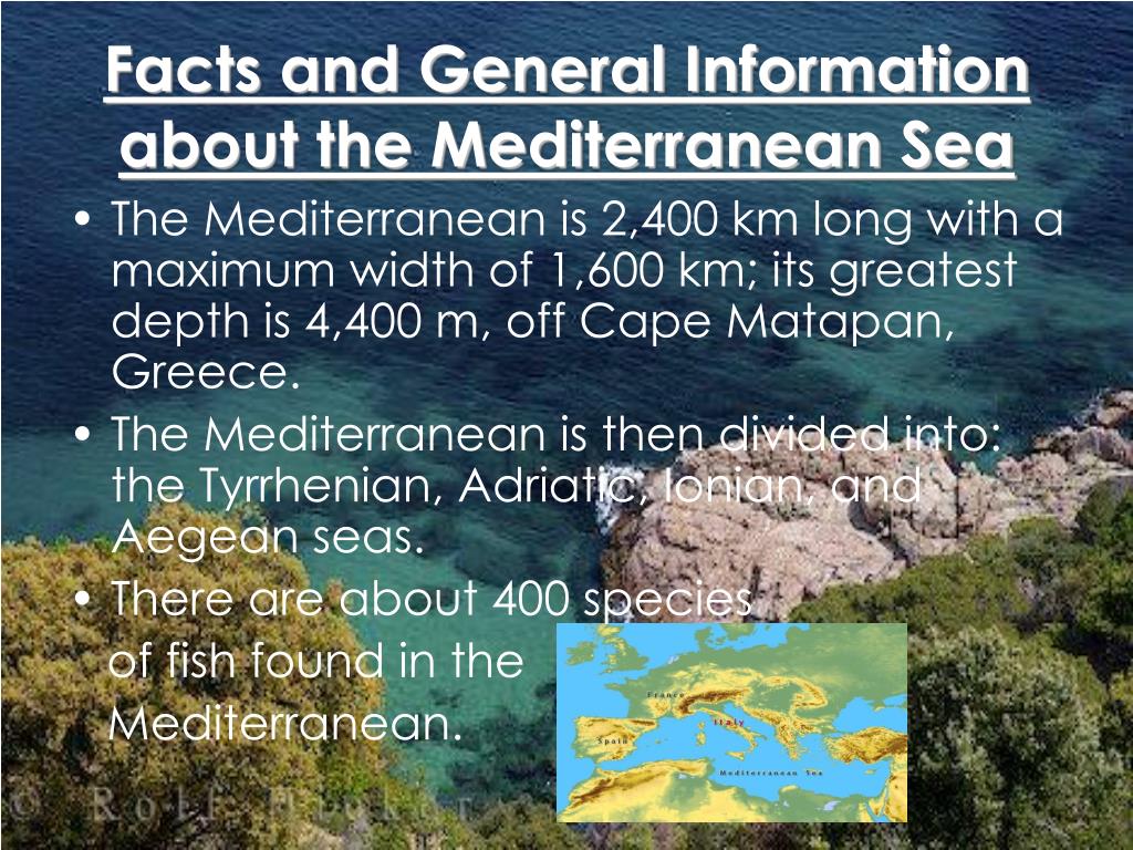 the great sea a human history of the mediterranean
