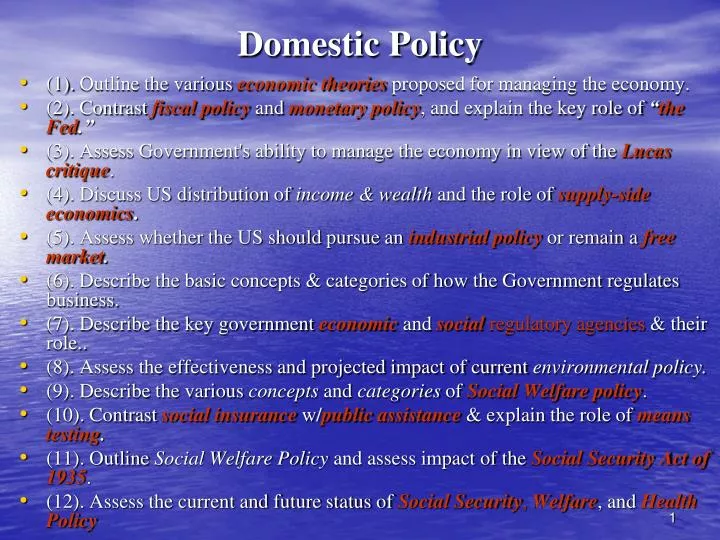 What Does Domestic Policy Mean