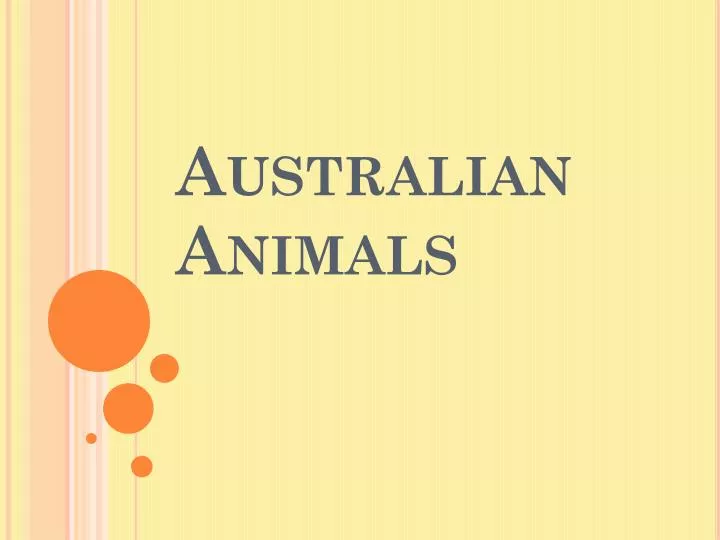 igennem rigdom Underinddel PPT - Australian Animals PowerPoint Presentation, free download - ID:5036345