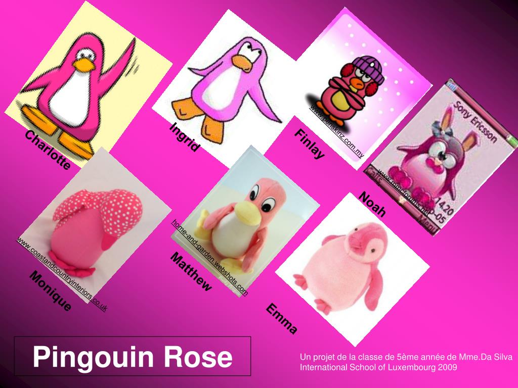 PPT - Pingouin Rose PowerPoint Presentation - ID:5036464