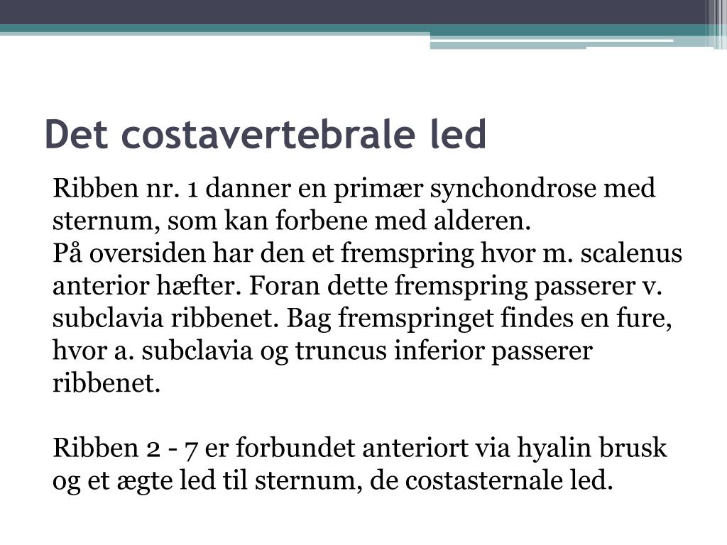 nul Premier kompleksitet PPT - Brystkassen PowerPoint Presentation, free download - ID:5037069