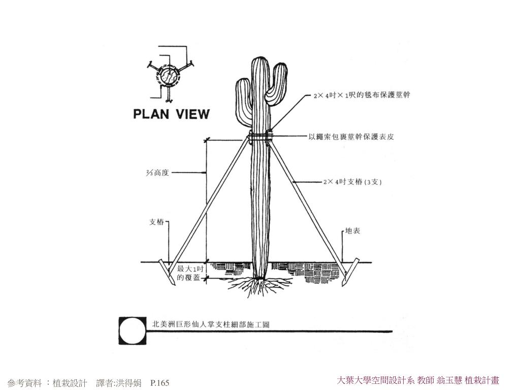 Ppt 植栽工程 一 Powerpoint Presentation Free Download Id