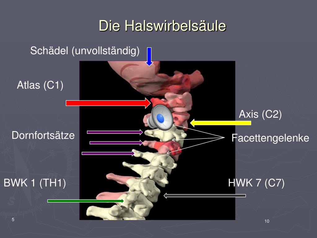 PPT Orthopädischtraumatologisches Gutachtenseminar Propädeutik Teil 1 Wirbelsäule