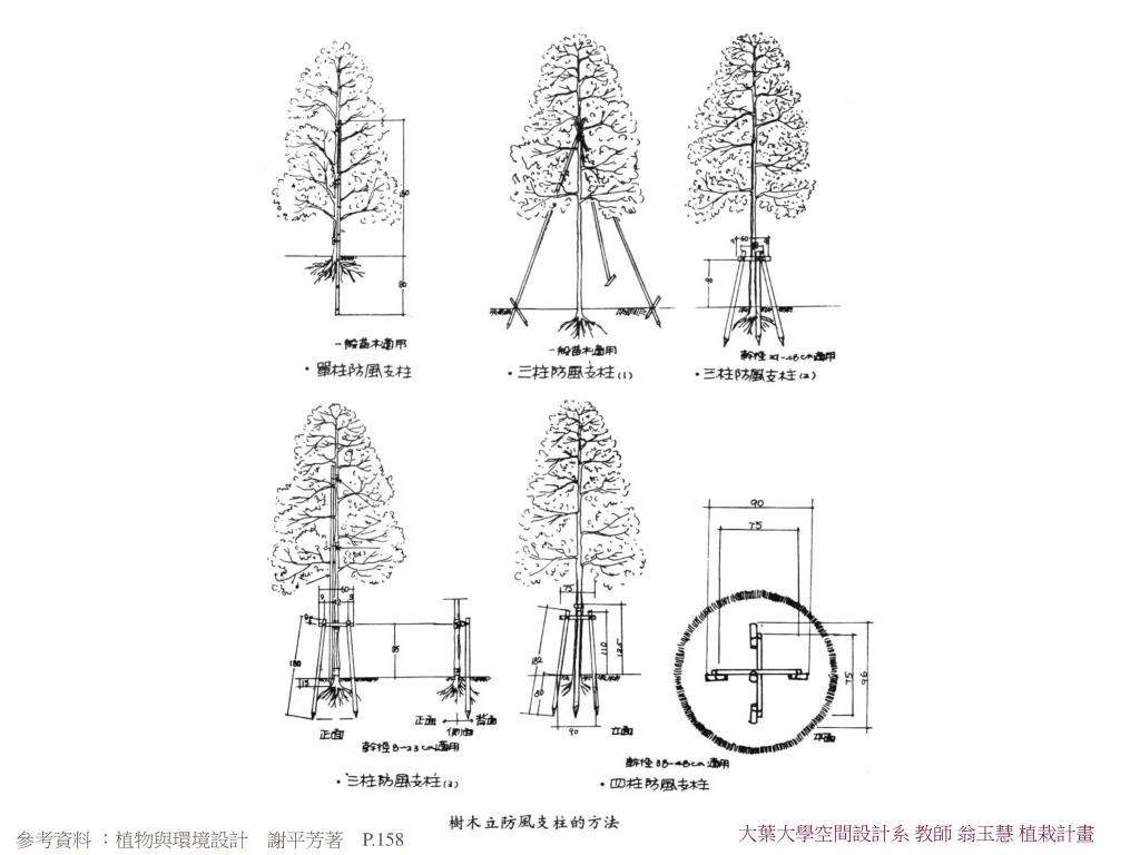 Ppt 植栽工程 二 Powerpoint Presentation Free Download Id
