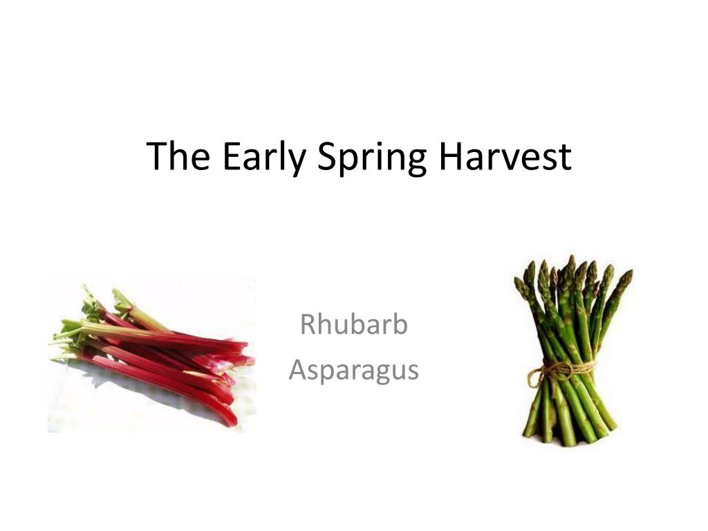 PPT The Early Spring Harvest PowerPoint Presentation, free download