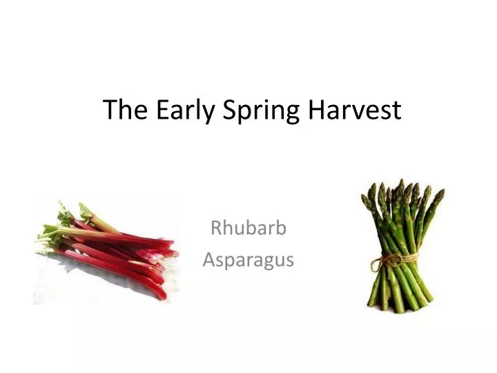 PPT The Early Spring Harvest PowerPoint Presentation, free download