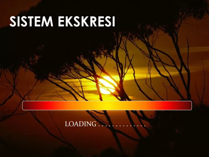 Download 620 Gambar Animasi Bergerak Loading HD Free Downloads Download 620 Gambar Animasi Bergerak Loading HD Free Downloads