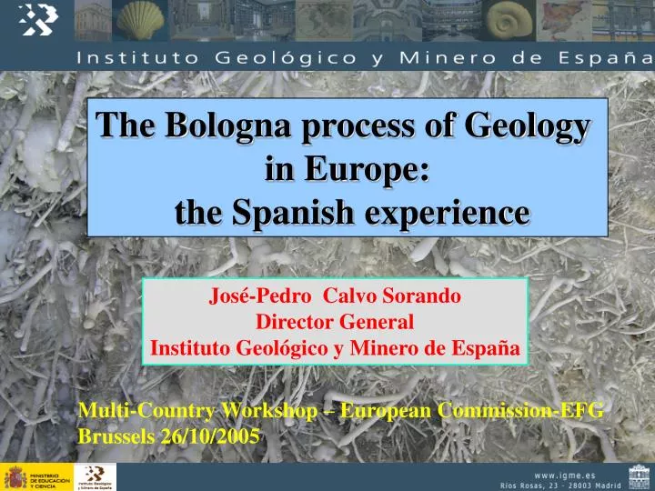 PPT The Bologna process of Geology in Europe the Spanish experience