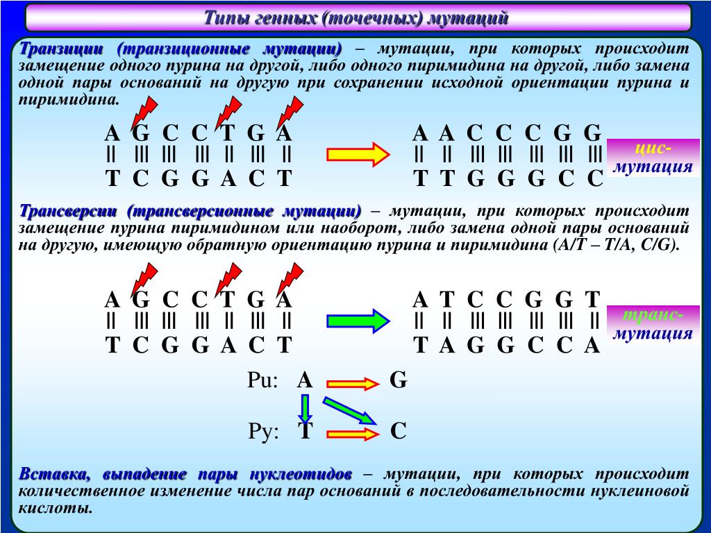 Последовательность изменения строения. Типы мутации ДНК. Типы нуклеотидов. Схема изображения генной мутации. Выпадение нуклеотида вид мутации.
