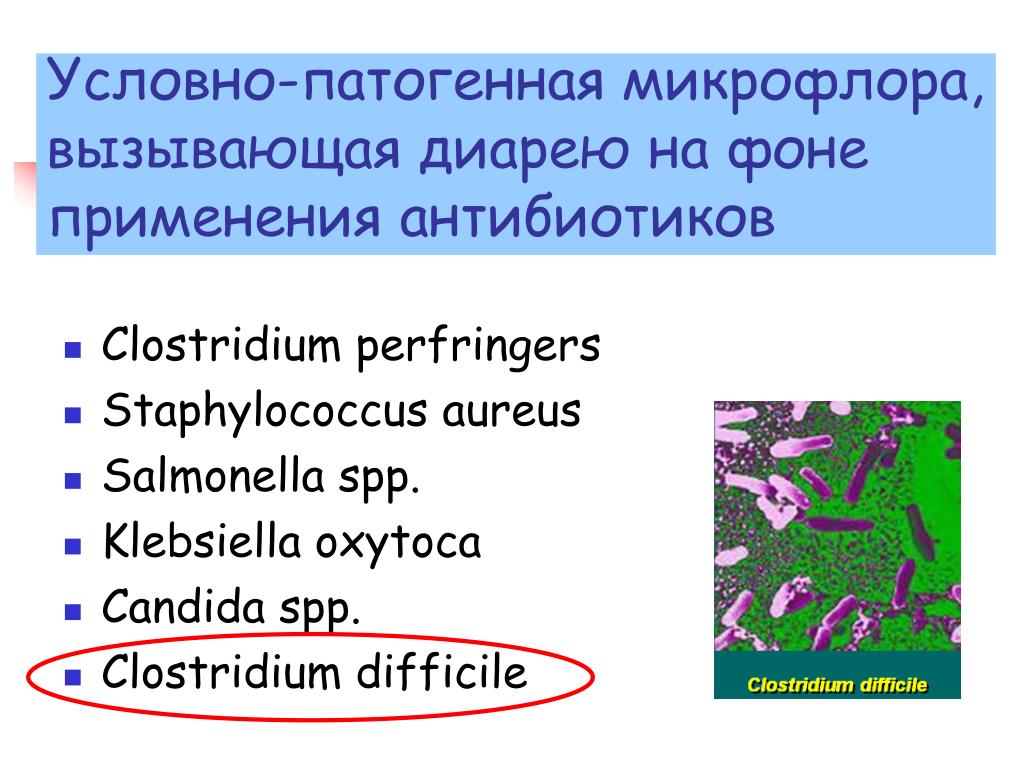 Условно патогенная микрофлора это. Условно патогенная микрофлора. Патогенная и условно-патогенная микрофлора. Клостридиум диффициле.