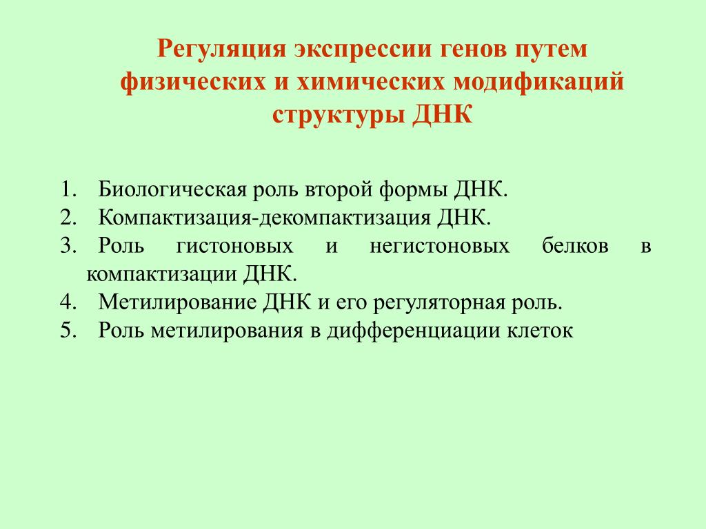 Физический путь. Регуляция экспрессии генов. Уровни регуляции экспрессии генов. Биологическая роль ДНК. Биороль ДНК.