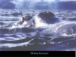 slide7