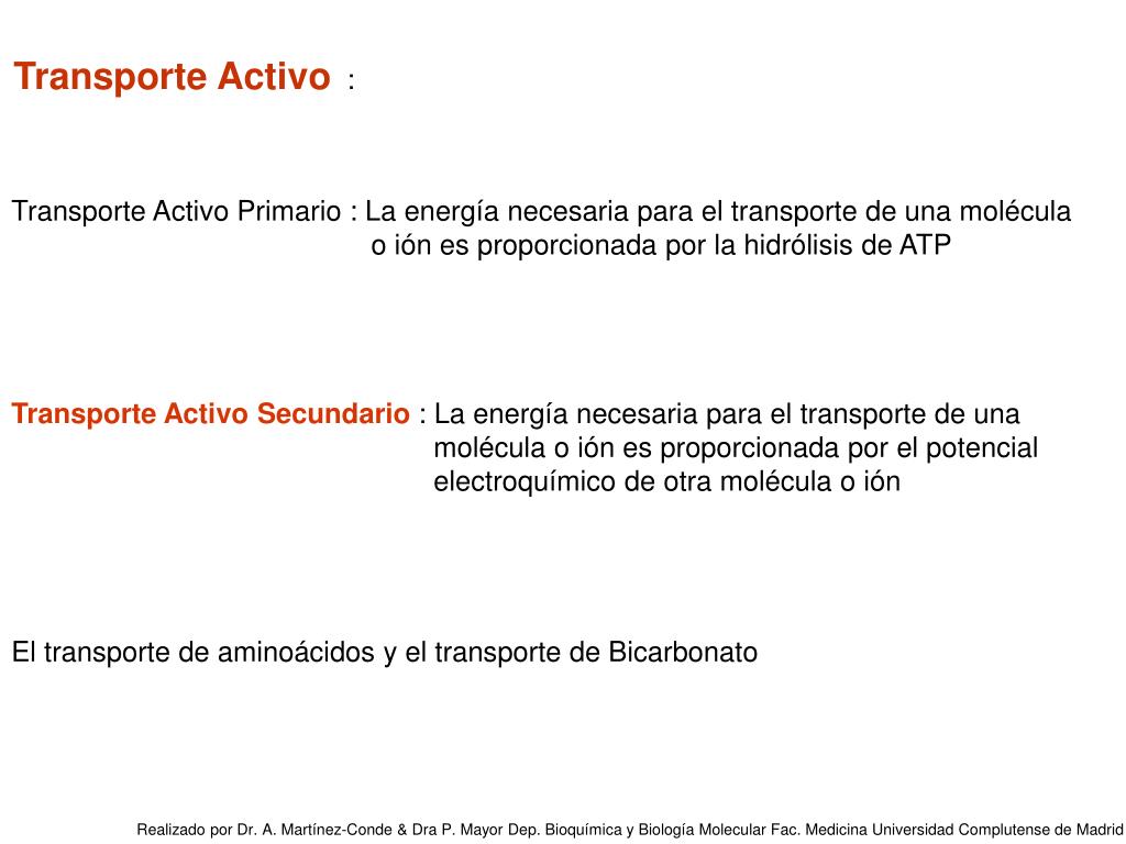 PPT - Transporte Activo : PowerPoint Presentation, free download -  ID:5048331
