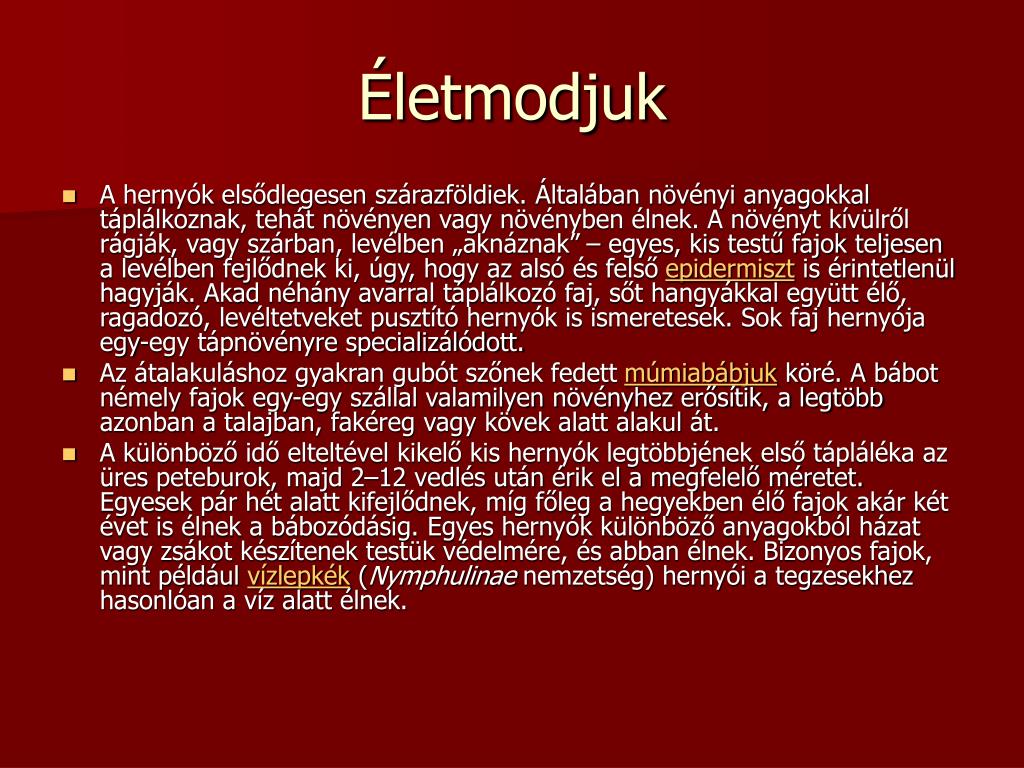 PPT - Lepkék PowerPoint Presentation, free download - ID:5050430