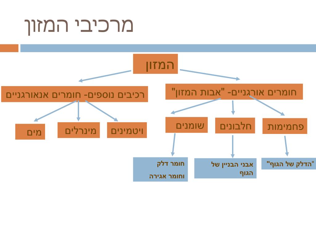 PPT - מבוא לתזונה דובר ענת PowerPoint Presentation, free download -  ID:5051729