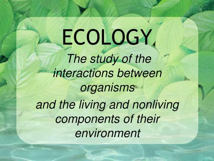 Презентация экология английский. Ecology презентация. Ecology презентация на английском. Проект на английском экология. Ecology определение на английском.