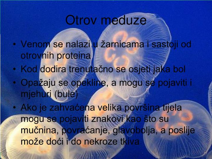 PPT - MEDUZE PowerPoint Presentation - ID:5053796