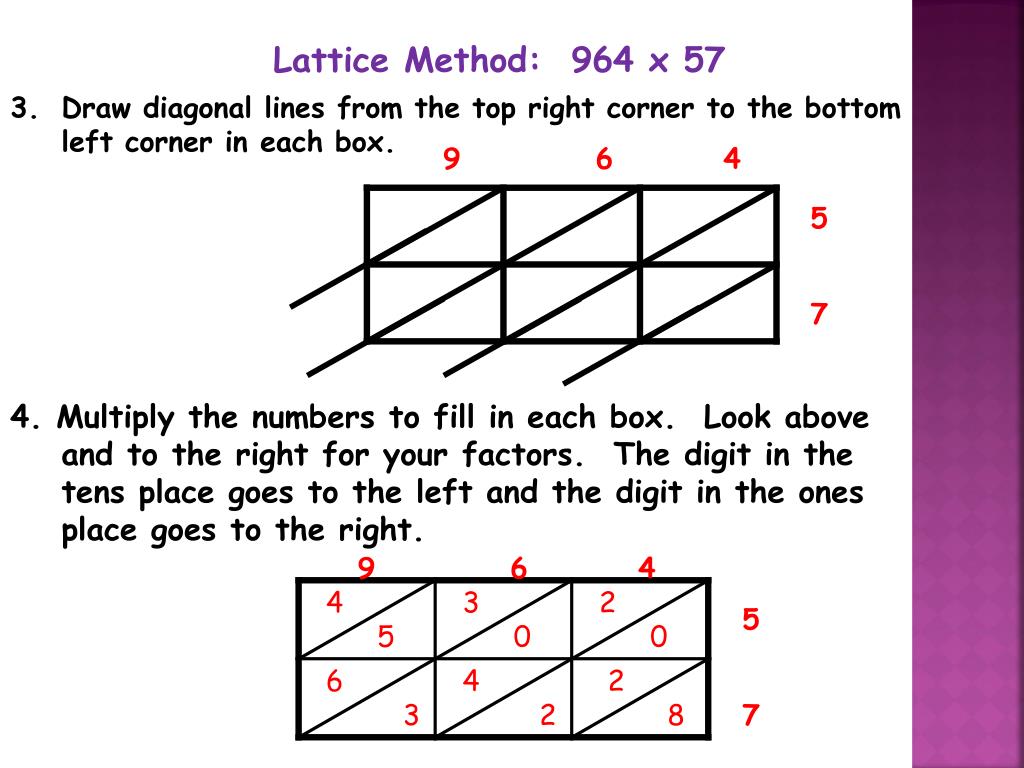 lattice hypothesis ppt