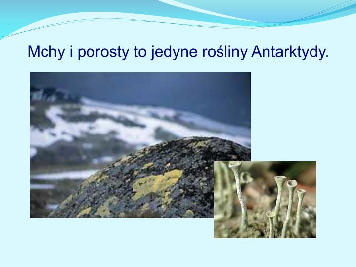 Przystosowanie Roślin Do życia Na Pustyni Lodowej PPT - Antarktyda krajobraz pustyni lodowej PowerPoint Presentation - ID