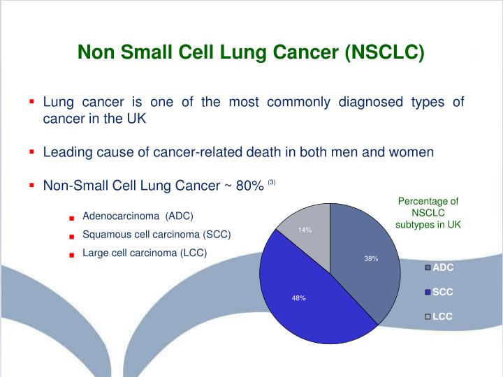 non small cell lung cancer ppt Non small cell lung cancer.