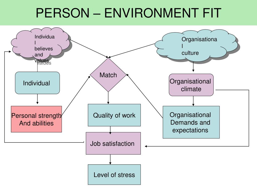 Match organization. Environment прилагательное. Environment person form. Person–job Fit Theory. Personal strengths.
