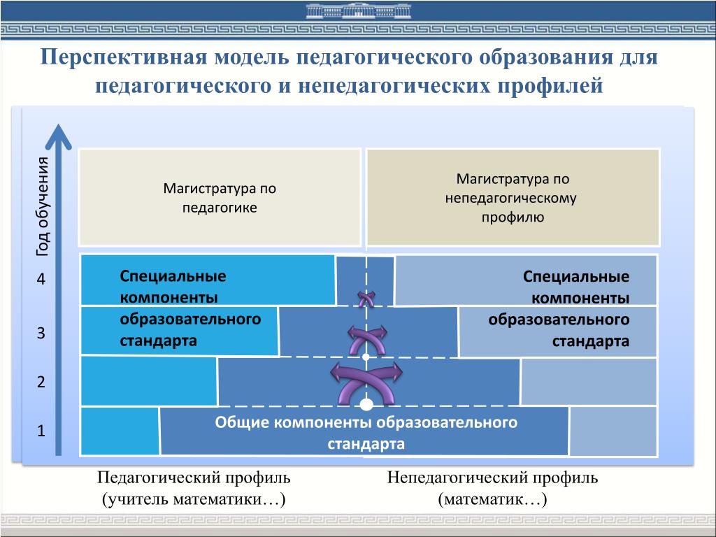 Педагогическое образование профиль математика и информатика. Перспективная модель образования. Перспективное моделирование. Профиль педагога. Модель образовательного лица.
