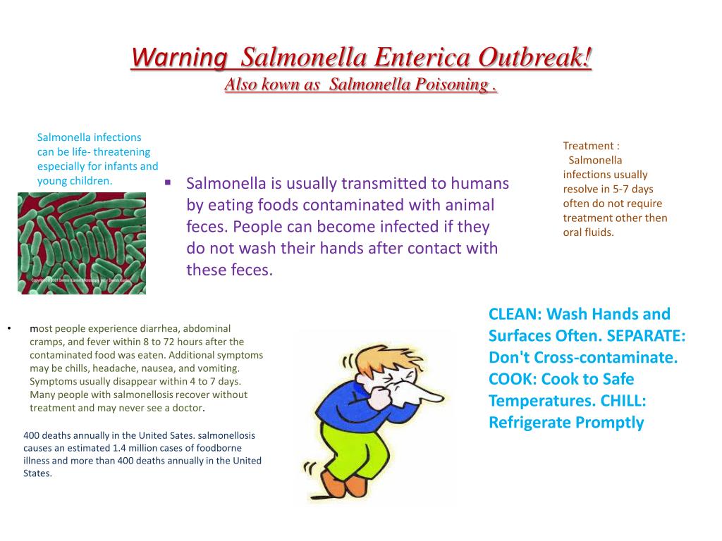 PPT - Warning Salmonella Enterica Outbreak! Also kown as ...
