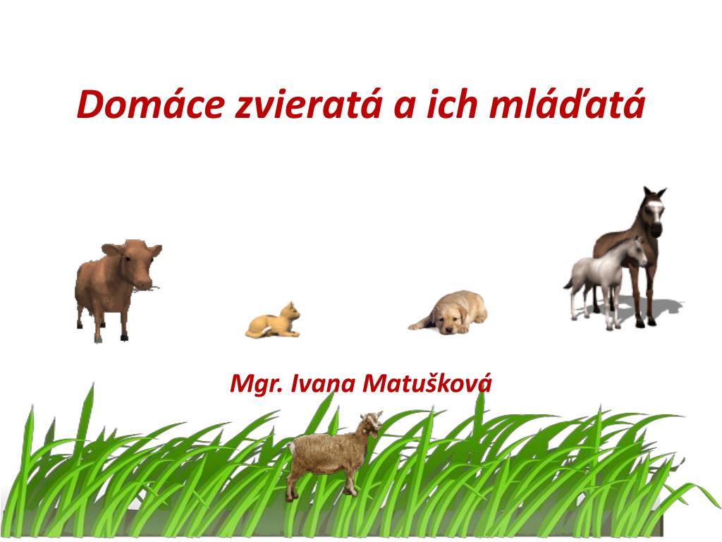 PPT - Domáce zvieratá a ich mláďatá PowerPoint Presentation, free download  - ID:5069638