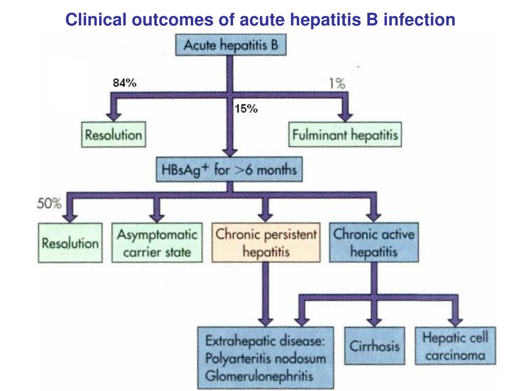 Acute перевод. Out comes of Hepatitis. Pathophysiology of infections.