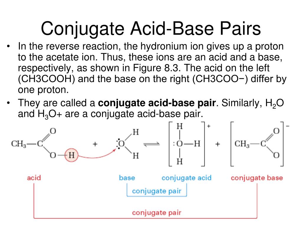 Conjugate Acid-Base Pairs.