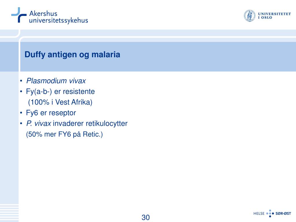 PPT - MNS og Duffy blodtypesystemer PowerPoint Presentation, free download  - ID:5076164