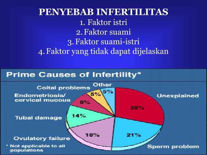 PPT - INFERTILITAS PowerPoint Presentation - ID:5078824