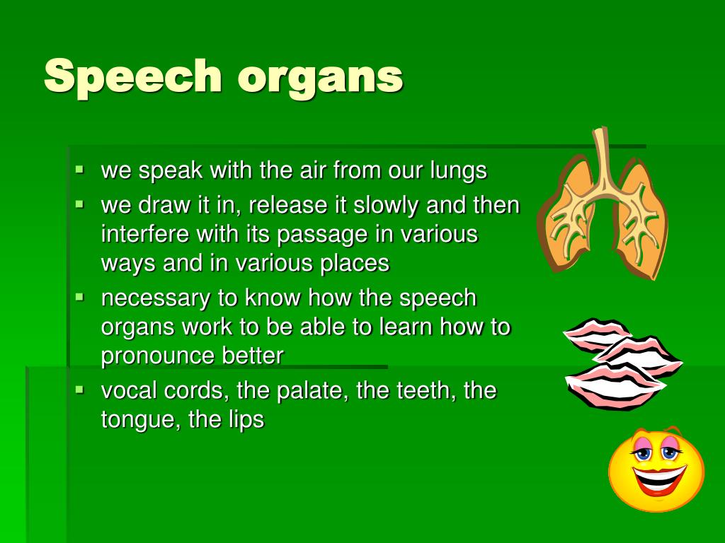 write an essay on the speech organs