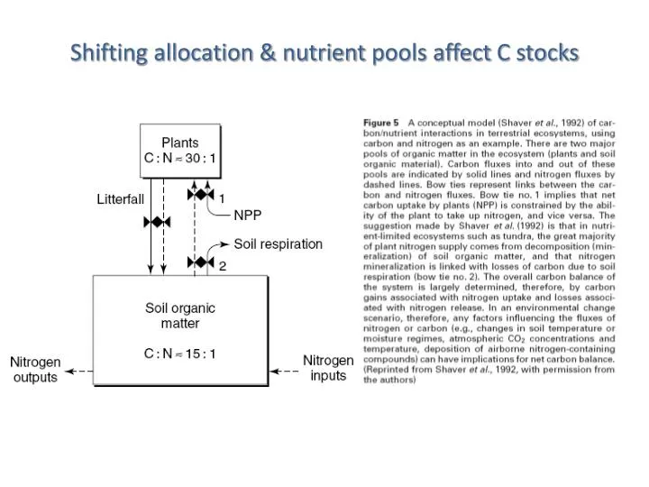 shifting allocation nutrient pools affect c stocks n.