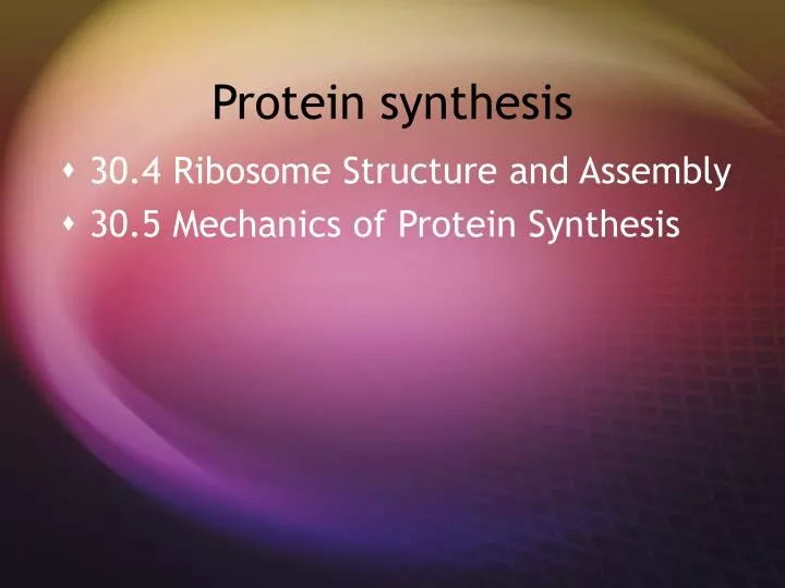 PPT - Protein synthesis PowerPoint Presentation, free download - ID:5083277